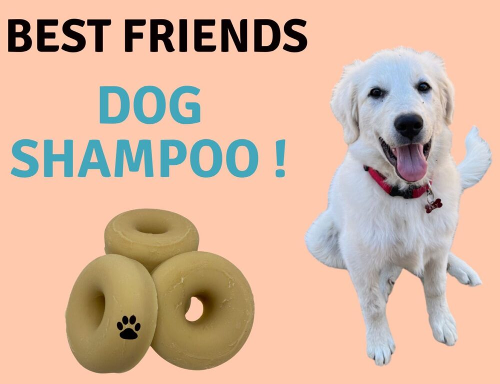 Best Friends Dog Shampoo