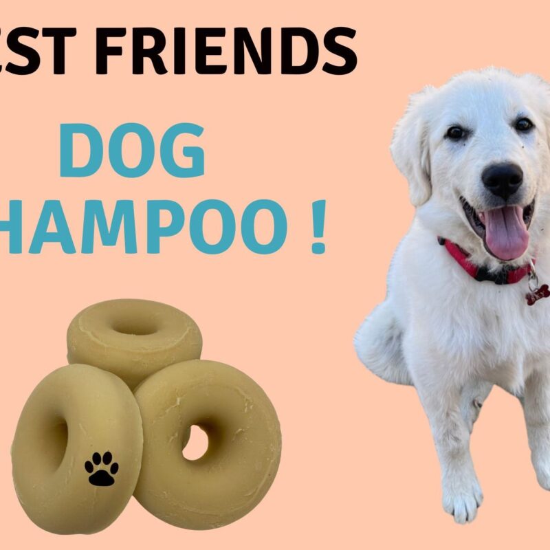 Best Friends Dog Shampoo